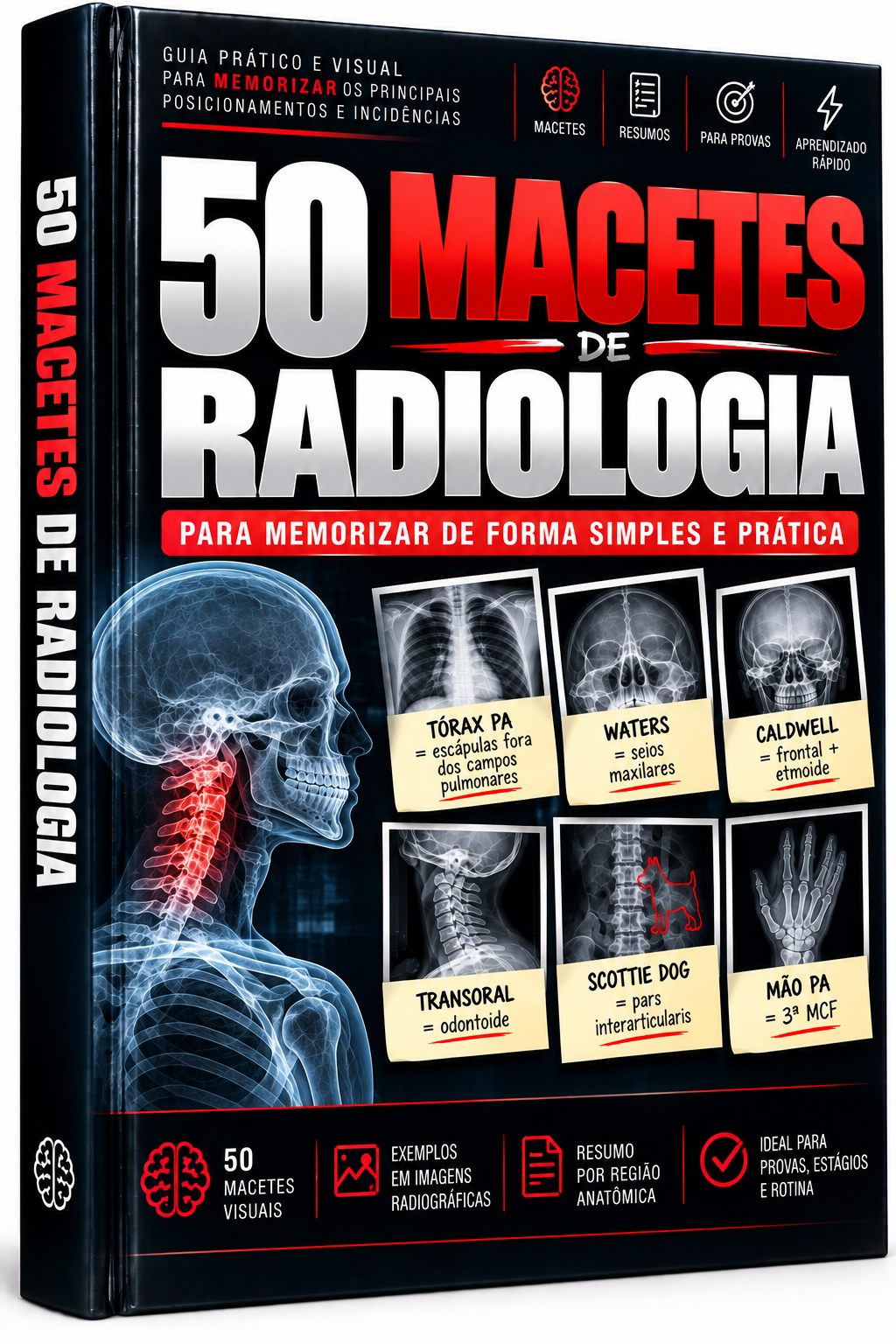 Bônus 2 - Guia Visual de Anatomia Palpatória